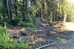 Residential Acreage,  Bittner road, Occidental, CA 95465 - 4