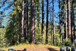 Residential Acreage,  Bittner road, Occidental, CA 95465 - 39