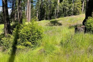 Residential Acreage,  Bittner road, Occidental, CA 95465 - 49