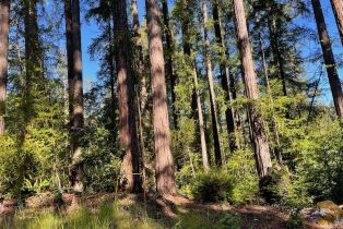 Residential Acreage,  Bittner road, Occidental, CA 95465 - 26