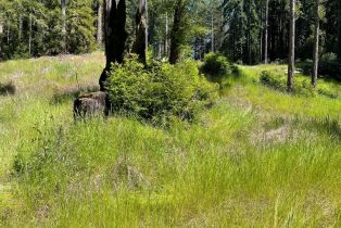 Residential Acreage,  Bittner road, Occidental, CA 95465 - 50