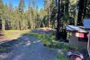 Residential Acreage,  Bittner road, Occidental, CA 95465 - 5