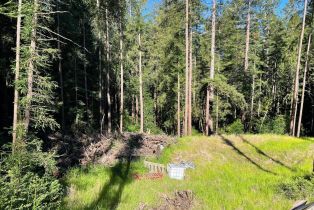 Residential Acreage,  Bittner road, Occidental, CA 95465 - 22