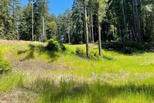 Residential Acreage,  Bittner road, Occidental, CA 95465 - 52