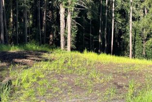 Residential Acreage,  Bittner road, Occidental, CA 95465 - 41