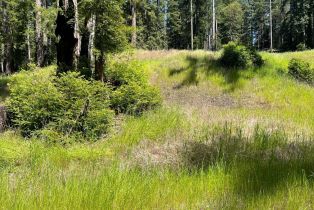 Residential Acreage,  Bittner road, Occidental, CA 95465 - 53