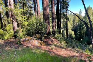 Residential Acreage,  Bittner road, Occidental, CA 95465 - 27