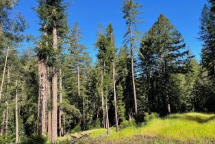 Residential Acreage,  Bittner road, Occidental, CA 95465 - 16