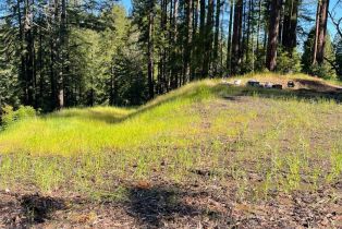 Residential Acreage,  Bittner road, Occidental, CA 95465 - 13