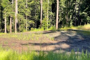 Residential Acreage,  Bittner road, Occidental, CA 95465 - 42