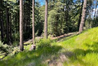 Residential Acreage,  Bittner road, Occidental, CA 95465 - 48