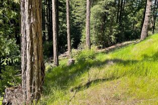 Residential Acreage,  Bittner road, Occidental, CA 95465 - 54