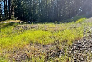 Residential Acreage,  Bittner road, Occidental, CA 95465 - 25