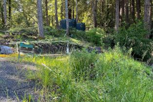 Residential Acreage,  Bittner road, Occidental, CA 95465 - 45