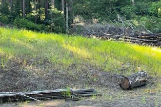 Residential Acreage,  Bittner road, Occidental, CA 95465 - 31