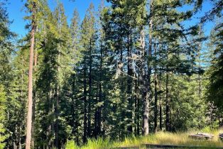 Residential Acreage,  Bittner road, Occidental, CA 95465 - 38