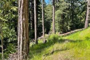 Residential Acreage,  Bittner road, Occidental, CA 95465 - 55