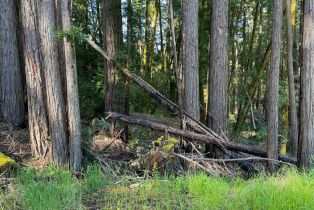 Residential Acreage,  Bittner road, Occidental, CA 95465 - 10