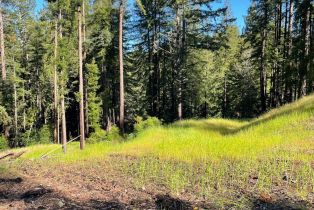 Residential Acreage,  Bittner road, Occidental, CA 95465 - 12