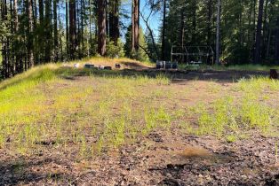 Residential Acreage,  Bittner road, Occidental, CA 95465 - 14