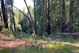 Residential Acreage,  Bittner road, Occidental, CA 95465 - 28