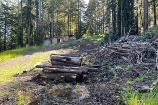 Residential Acreage,  Bittner road, Occidental, CA 95465 - 20