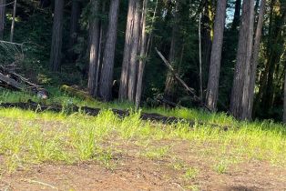 Residential Acreage,  Bittner road, Occidental, CA 95465 - 36