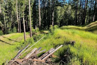 Residential Acreage,  Bittner road, Occidental, CA 95465 - 24