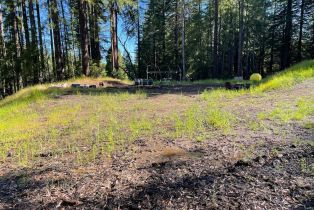 Residential Acreage,  Bittner road, Occidental, CA 95465 - 18