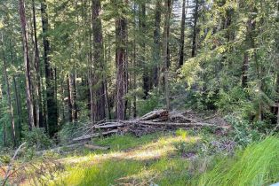 Residential Acreage,  Bittner road, Occidental, CA 95465 - 29