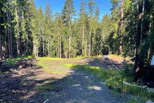 Residential Acreage,  Bittner road, Occidental, CA 95465 - 44