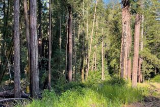 Residential Acreage,  Bittner road, Occidental, CA 95465 - 11