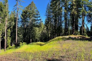 Residential Acreage,  Bittner road, Occidental, CA 95465 - 17