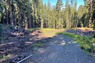 Residential Acreage,  Bittner road, Occidental, CA 95465 - 3