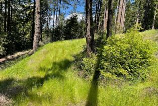 Residential Acreage,  Bittner road, Occidental, CA 95465 - 47