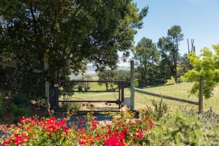 Single Family Residence,  Mount Rose lane, Petaluma, CA 94952 - 40