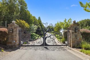 Single Family Residence,  Mount Rose lane, Petaluma, CA 94952 - 58