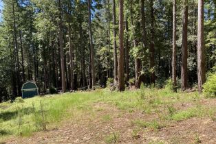 Residential Lot,  Umland circle, Jenner, CA 95450 - 45