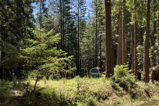 Residential Lot,  Umland circle, Jenner, CA 95450 - 48