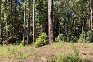 Residential Lot,  Umland circle, Jenner, CA 95450 - 44