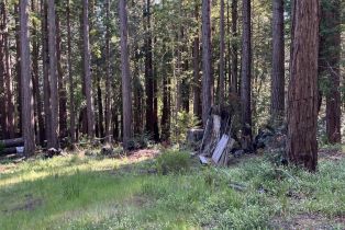 Residential Lot,  Umland circle, Jenner, CA 95450 - 10