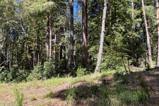 Residential Lot,  Umland circle, Jenner, CA 95450 - 43