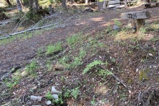 Residential Lot,  Umland circle, Jenner, CA 95450 - 35