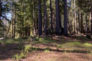 Residential Lot,  Umland circle, Jenner, CA 95450 - 3