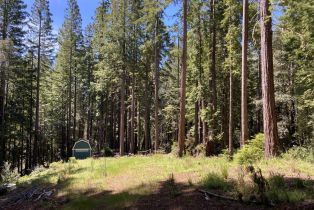 Residential Lot,  Umland circle, Jenner, CA 95450 - 39