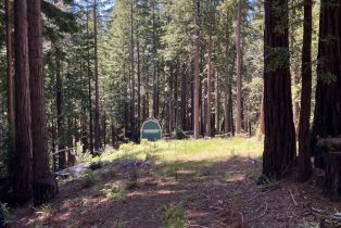 Residential Lot,  Umland circle, Jenner, CA 95450 - 38