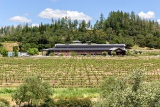 Single Family Residence,  Dry Creek road, Healdsburg, CA 95448 - 34