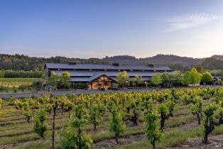 Single Family Residence,  Dry Creek road, Healdsburg, CA 95448 - 35