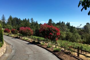 Single Family Residence,  Brookside drive, Angwin, CA 94508 - 53