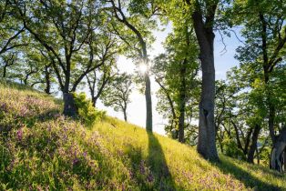 Residential Acreage,  Stewarts Point Skaggs Springs road, Healdsburg, CA 95448 - 27